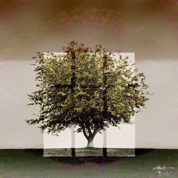 Window2 on a Green Tree 1x1 by Veratis Editions